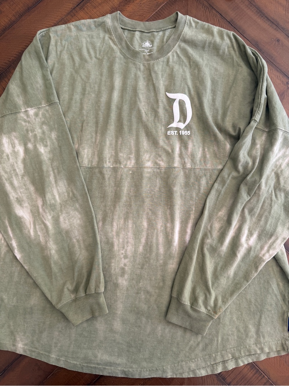 Disneyland Spirit Jersey